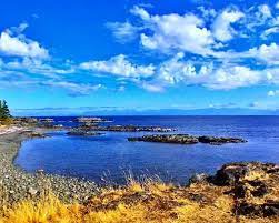 picture of a beach that we could find in Nanaimo with ocean and some white clouds in the sky