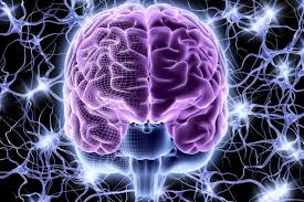a brain glowing purple with light around it